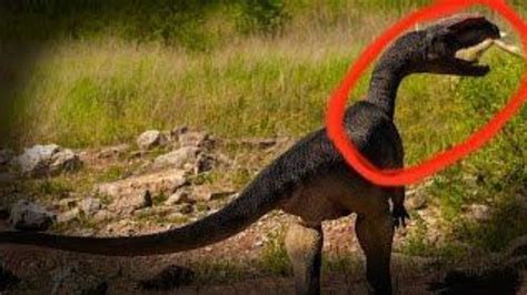Are dinosaurs real. Things To Know About Are dinosaurs real. 
